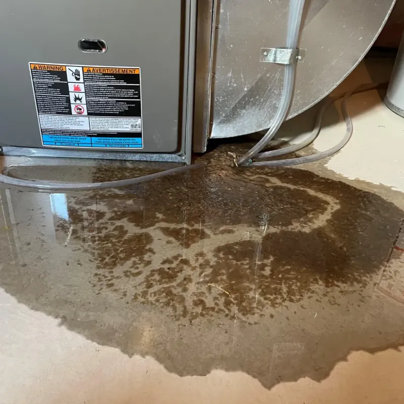 Appliance Leak Cleanup in Huron County, OH